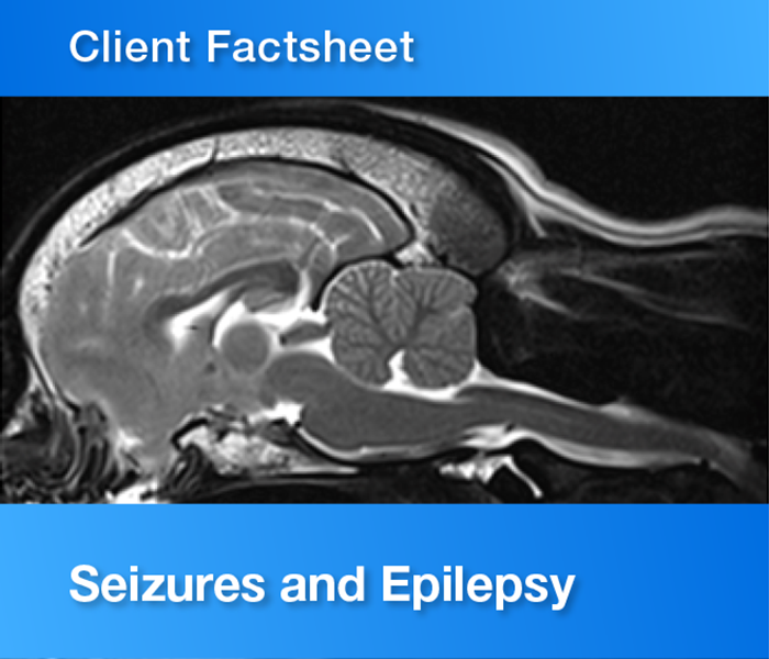 Client Factsheet Seizures and epilepsy