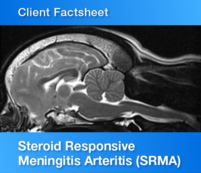 Client Factsheet Steroid responsive meningitis arteritis